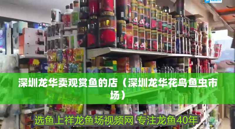 深圳龍華賣觀賞魚的店（深圳龍華花鳥魚蟲市場）