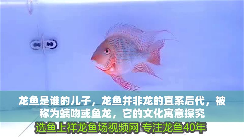 龍魚是誰的兒子，龍魚并非龍的直系后代，被稱為螭吻或魚龍，它的文化寓意探究