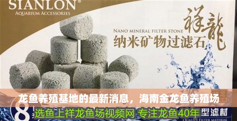 龍魚養殖基地的最新消息，海南金龍魚養殖場