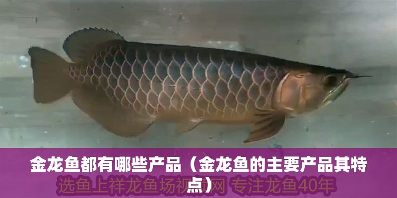 金龍魚都有哪些產(chǎn)品（金龍魚的主要產(chǎn)品其特點(diǎn)）