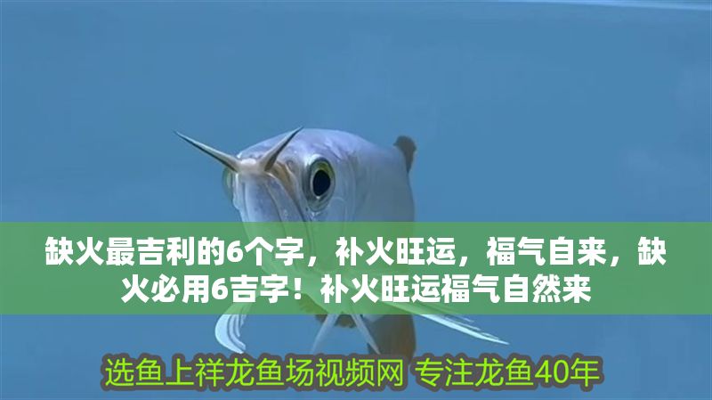 缺火最吉利的6個字，補火旺運，福氣自來，缺火必用6吉字！補火旺運福氣自然來