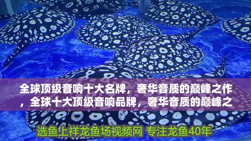 全球頂級音響十大名牌，奢華音質(zhì)的巔峰之作，全球十大頂級音響品牌，奢華音質(zhì)的巔峰之選 全球頂級音響十大名牌，奢華音質(zhì)的巔峰之作，全球十大頂級音響品牌，奢華音質(zhì)的巔峰之選 龍魚百科 第1張