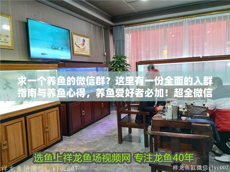 求一個養(yǎng)魚的微信群?這里有一份全面的入群指南與養(yǎng)魚心得,養(yǎng)魚愛好者必加!超全微信群入群指南與實用養(yǎng)魚技巧分享 龍魚百科 第1張 求一個養(yǎng)魚的微信群?這里有一份全面的入群指南與養(yǎng)魚心得,養(yǎng)魚愛好者必加!超全微信群入群指南與實用養(yǎng)魚技巧分享 求一個養(yǎng)魚的微信群?這里有一份全面的入群指南與養(yǎng)魚心得,養(yǎng)魚愛好者必加!超全微信群入群指南與實用養(yǎng)魚技巧分享 龍魚百科 第1張