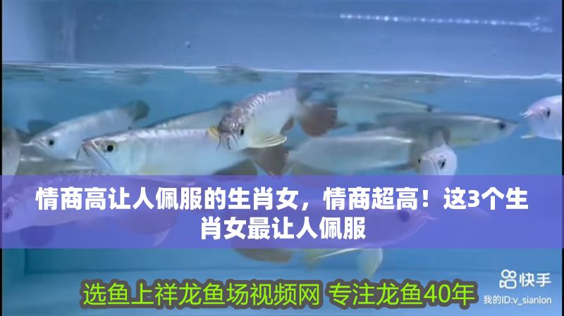 情商高讓人佩服的生肖女，情商超高！這3個生肖女最讓人佩服