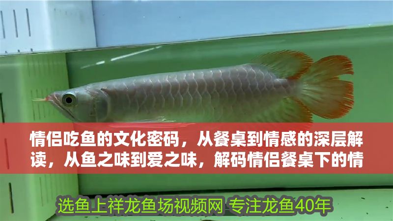 情侶吃魚的文化密碼，從餐桌到情感的深層解讀，從魚之味到愛之味，解碼情侶餐桌下的情感暗語