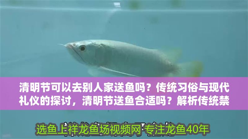 清明節可以去別人家送魚嗎？傳統習俗與現代禮儀的探討，清明節送魚合適嗎？解析傳統禁忌與現代交往禮儀