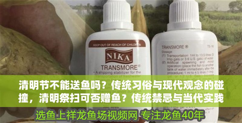 清明節不能送魚嗎？傳統習俗與現代觀念的碰撞，清明祭掃可否贈魚？傳統禁忌與當代實踐的對話