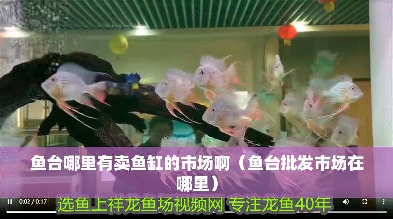 魚臺哪里有賣魚缸的市場啊（魚臺批發市場在哪里）