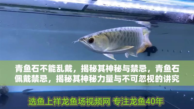 青魚石不能亂戴,揭秘其神秘與禁忌,青魚石佩戴禁忌,揭秘其神秘力量與不可忽視的講究 龍魚百科 第1張 青魚石不能亂戴,揭秘其神秘與禁忌,青魚石佩戴禁忌,揭秘其神秘力量與不可忽視的講究 青魚石不能亂戴,揭秘其神秘與禁忌,青魚石佩戴禁忌,揭秘其神秘力量與不可忽視的講究 龍魚百科 第1張