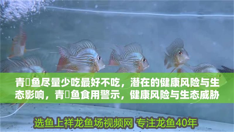 青鳉魚盡量少吃最好不吃，潛在的健康風(fēng)險(xiǎn)與生態(tài)影響，青鳉魚食用警示，健康風(fēng)險(xiǎn)與生態(tài)威脅的雙重考量
