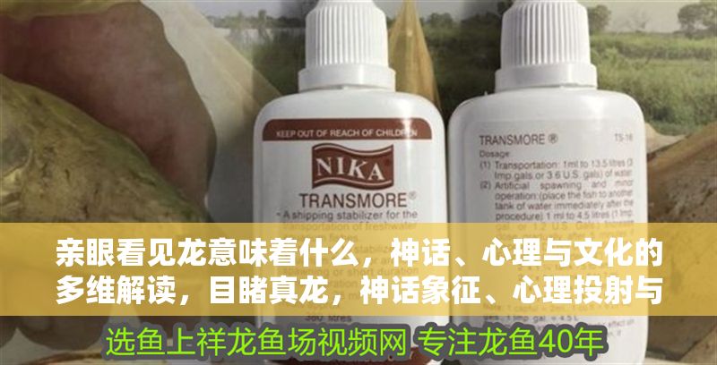 親眼看見龍意味著什么，神話、心理與文化的多維解讀，目睹真龍，神話象征、心理投射與文化意涵的深度解析