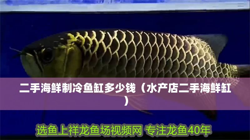 二手海鮮制冷魚缸多少錢（水產(chǎn)店二手海鮮缸）