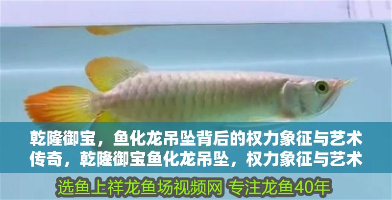 乾隆御寶，魚化龍吊墜背后的權力象征與藝術傳奇，乾隆御寶魚化龍吊墜，權力象征與藝術傳奇的完美交融