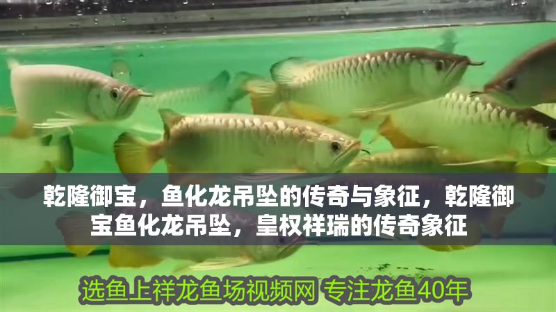 乾隆御寶，魚化龍吊墜的傳奇與象征，乾隆御寶魚化龍吊墜，皇權祥瑞的傳奇象征
