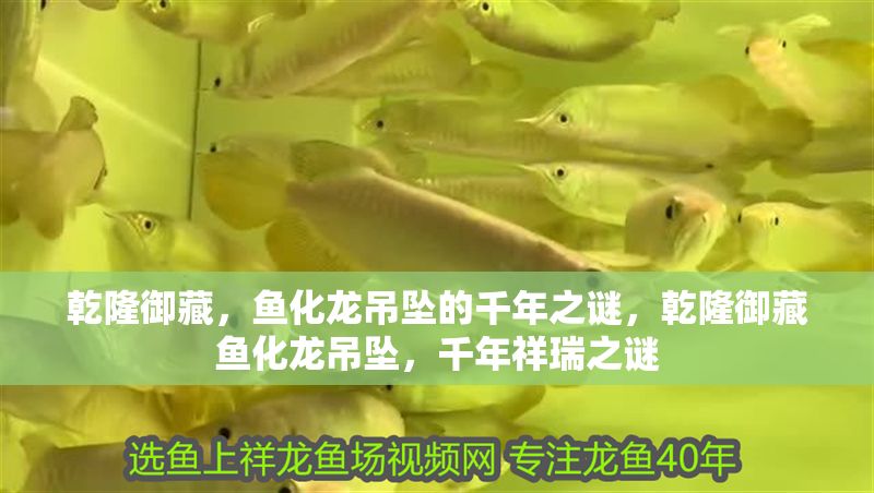 乾隆御藏，魚化龍吊墜的千年之謎，乾隆御藏魚化龍吊墜，千年祥瑞之謎