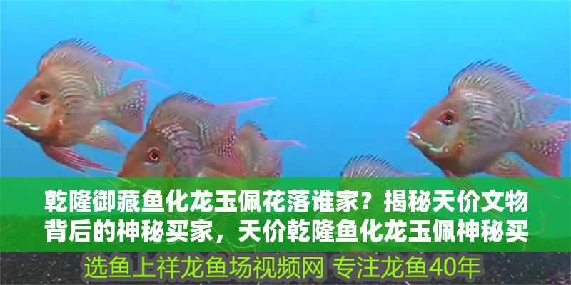乾隆御藏魚化龍玉佩花落誰家？揭秘天價(jià)文物背后的神秘買家，天價(jià)乾隆魚化龍玉佩神秘買家揭曉，誰將這件御藏瑰寶收入囊中？ 乾隆御藏魚化龍玉佩花落誰家？揭秘天價(jià)文物背后的神秘買家，天價(jià)乾隆魚化龍玉佩神秘買家揭曉，誰將這件御藏瑰寶收入囊中？ 龍魚百科 第1張