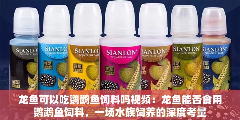 龍魚可以吃鸚鵡魚飼料嗎視頻：龍魚能否食用鸚鵡魚飼料，一場水族飼養的深度考量