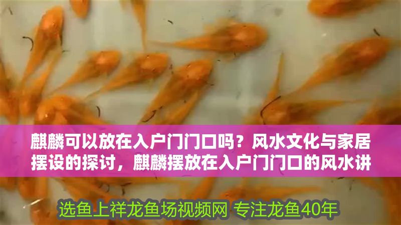 麒麟可以放在入戶門門口嗎？風水文化與家居擺設的探討，麒麟擺放在入戶門門口的風水講究與家居布局解析
