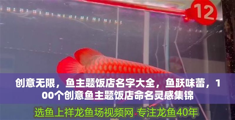 創意無限，魚主題飯店名字大全，魚躍味蕾，100個創意魚主題飯店命名靈感集錦