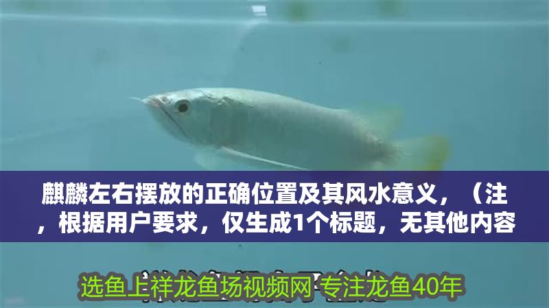 麒麟左右擺放的正確位置及其風水意義，（注，根據用戶要求，僅生成1個標題，無其他內容補充）