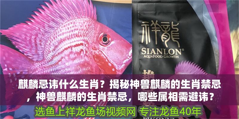 麒麟忌諱什么生肖？揭秘神獸麒麟的生肖禁忌，神獸麒麟的生肖禁忌，哪些屬相需避諱？