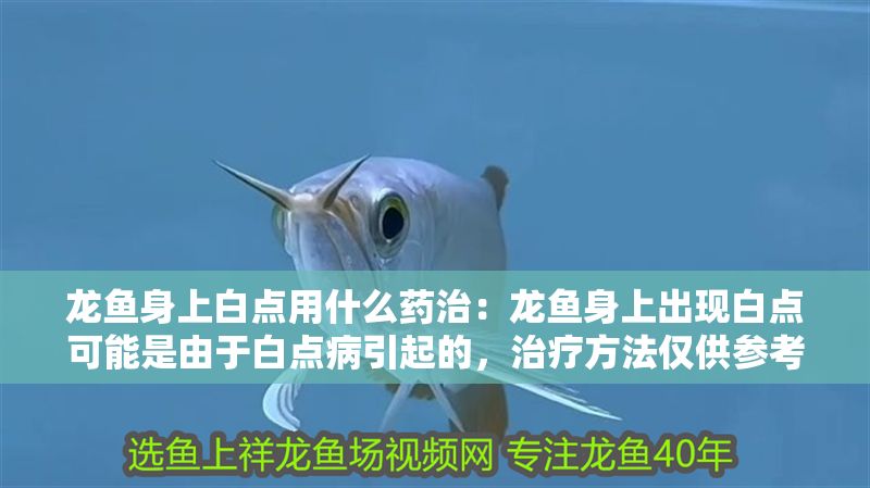 龍魚身上白點用什么藥治：龍魚身上出現白點可能是由于白點病引起的，治療方法僅供參考