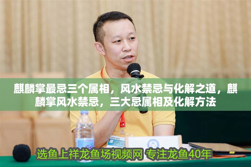 麒麟掌最忌三個屬相，風水禁忌與化解之道，麒麟掌風水禁忌，三大忌屬相及化解方法