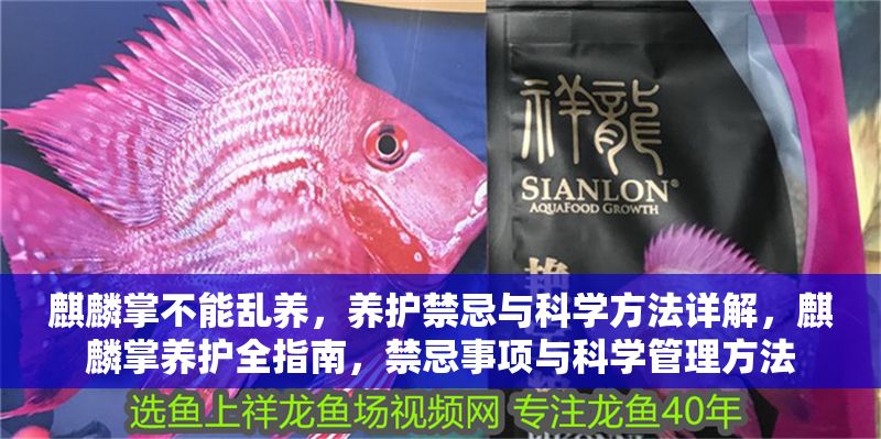 麒麟掌不能亂養，養護禁忌與科學方法詳解，麒麟掌養護全指南，禁忌事項與科學管理方法