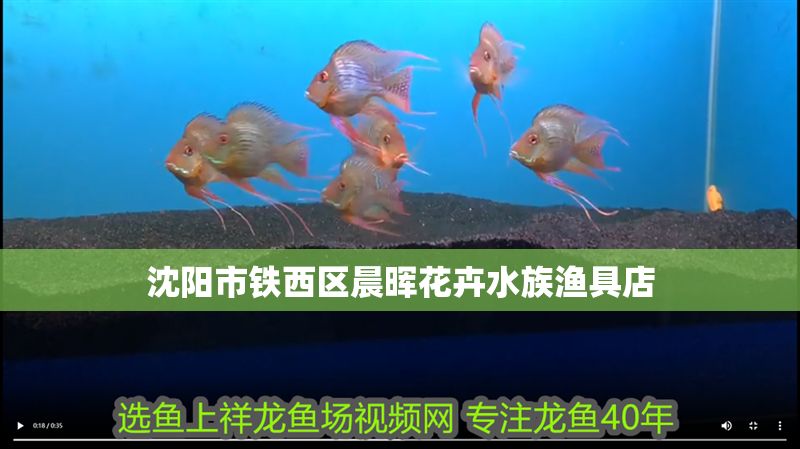 沈陽市鐵西區(qū)晨暉花卉水族漁具店