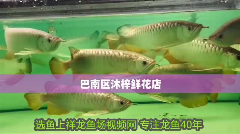 巴南區沐梓鮮花店