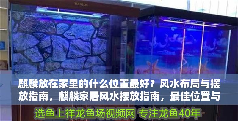 麒麟放在家里的什么位置最好？風水布局與擺放指南，麒麟家居風水擺放指南，最佳位置與布局講究 麒麟放在家里的什么位置最好？風水布局與擺放指南，麒麟家居風水擺放指南，最佳位置與布局講究 龍魚百科 第1張