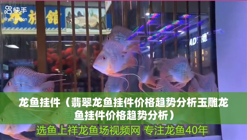 龍魚掛件（翡翠龍魚掛件價格趨勢分析玉雕龍魚掛件價格趨勢分析）