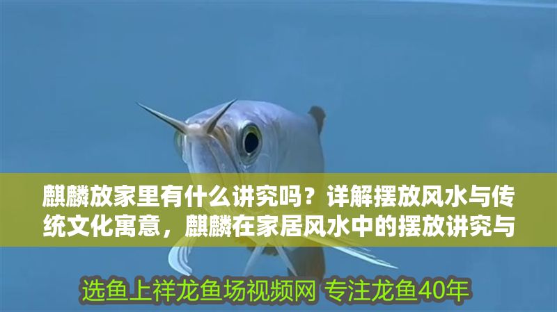 麒麟放家里有什么講究嗎？詳解擺放風水與傳統文化寓意，麒麟在家居風水中的擺放講究與傳統文化寓意解析