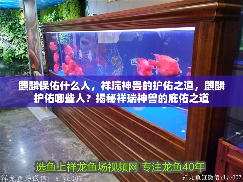 <strong><mark>麒麟</mark></strong>保佑什么人，祥瑞神獸的護佑之道，<strong><mark>麒麟</mark></strong>護佑哪些人？揭秘祥瑞神獸的庇佑之道