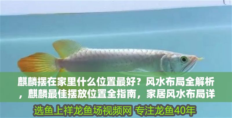 麒麟擺在家里什么位置最好？風水布局全解析，麒麟最佳擺放位置全指南，家居風水布局詳解