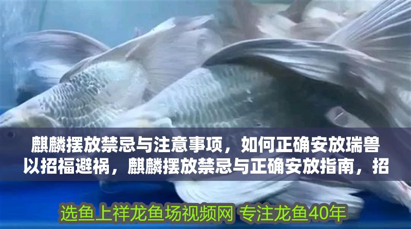 麒麟擺放禁忌與注意事項，如何正確安放瑞獸以招福避禍，麒麟擺放禁忌與正確安放指南，招福避禍的瑞獸布局要訣