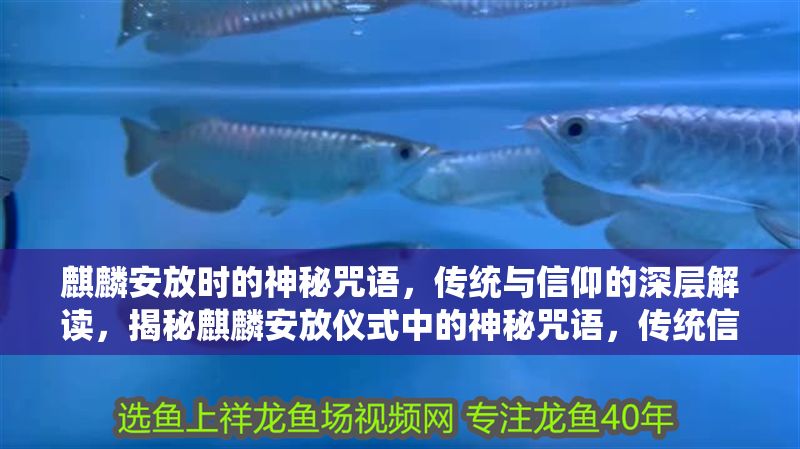 麒麟安放時的神秘咒語，傳統與信仰的深層解讀，揭秘麒麟安放儀式中的神秘咒語，傳統信仰的文化密碼
