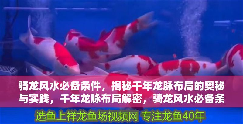 騎龍風水必備條件，揭秘千年龍脈布局的奧秘與實踐，千年龍脈布局解密，騎龍風水必備條件與實戰要訣