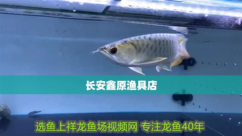長安鑫原漁具店