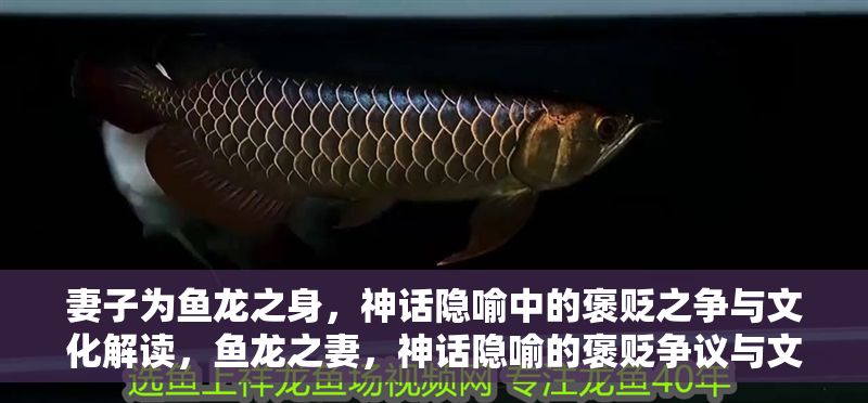 妻子為魚龍之身，神話隱喻中的褒貶之爭與文化解讀，魚龍之妻，神話隱喻的褒貶爭議與文化意涵探析