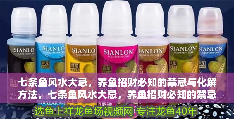 七條魚風水大忌，養魚招財必知的禁忌與化解方法，七條魚風水大忌，養魚招財必知的禁忌與化解方法 七條魚風水大忌，養魚招財必知的禁忌與化解方法，七條魚風水大忌，養魚招財必知的禁忌與化解方法 龍魚百科 第1張