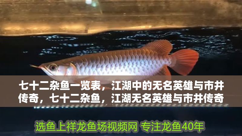 七十二雜魚一覽表，江湖中的無名英雄與市井傳奇，七十二雜魚，江湖無名英雄與市井傳奇錄
