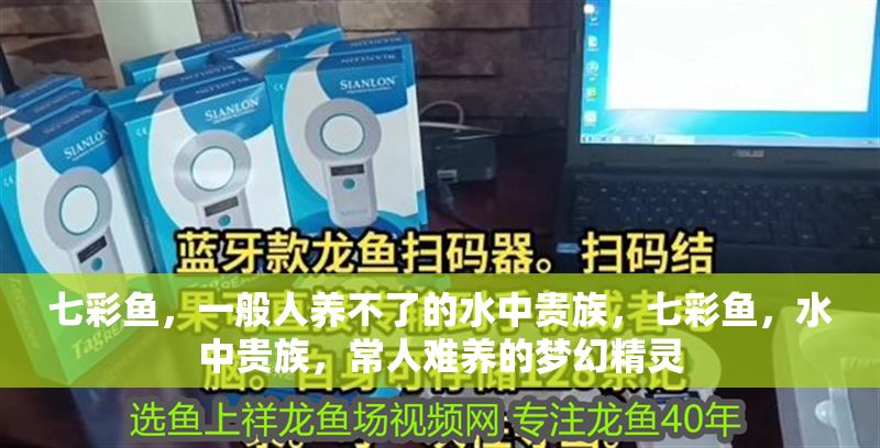七彩魚，一般人養不了的水中貴族，七彩魚，水中貴族，常人難養的夢幻精靈 七彩魚，一般人養不了的水中貴族，七彩魚，水中貴族，常人難養的夢幻精靈 龍魚百科 第1張