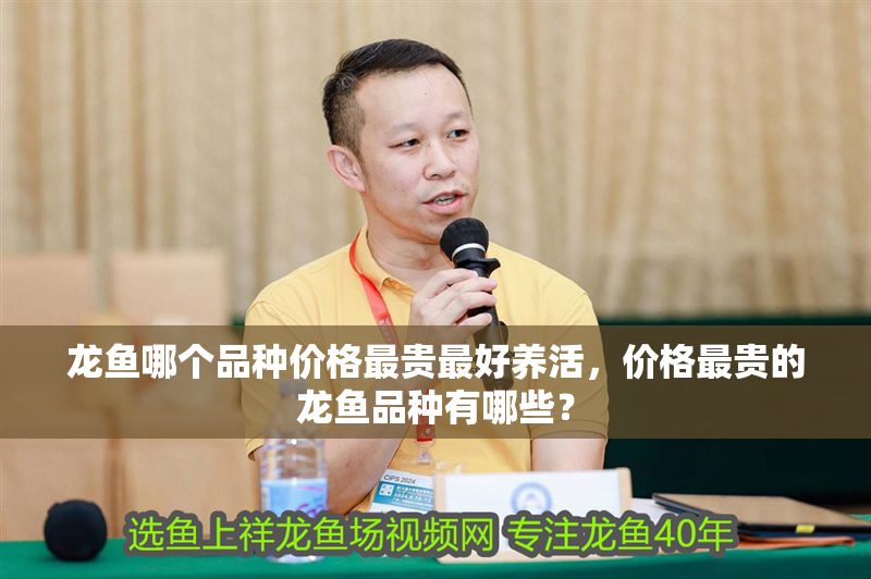 龍魚哪個品種價格最貴最好養活，價格最貴的龍魚品種有哪些？
