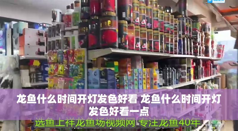 龍魚什么時間開燈發色好看 龍魚什么時間開燈發色好看一點