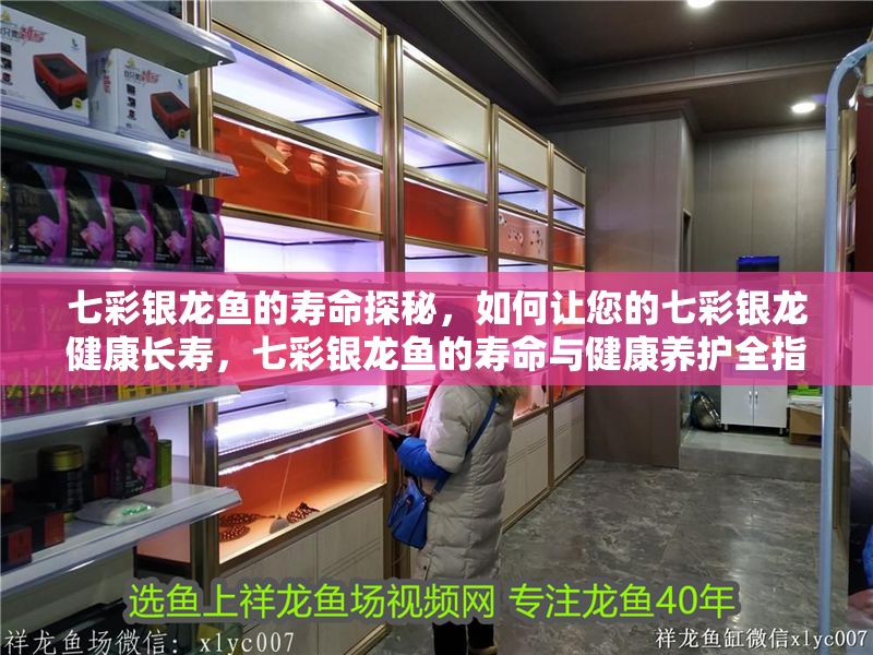 七彩銀龍魚的壽命探秘，如何讓您的七彩銀龍健康長壽，七彩銀龍魚的壽命與健康養護全指南 七彩銀龍魚的壽命探秘，如何讓您的七彩銀龍健康長壽，七彩銀龍魚的壽命與健康養護全指南 龍魚百科 第1張