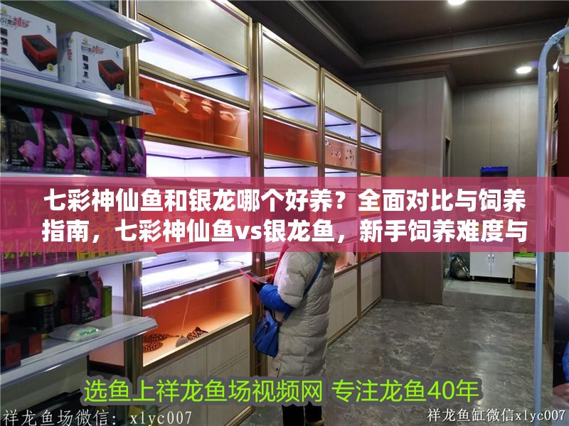 七彩神仙魚和銀龍哪個好養？全面對比與飼養指南，七彩神仙魚vs銀龍魚，新手飼養難度與全面對比指南 七彩神仙魚和銀龍哪個好養？全面對比與飼養指南，七彩神仙魚vs銀龍魚，新手飼養難度與全面對比指南 龍魚百科 第1張