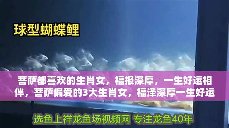 菩薩都喜歡的生肖女，福報深厚，一生好運相伴，菩薩偏愛的3大生肖女，福澤深厚一生好運連連