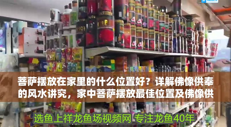 菩薩擺放在家里的什么位置好？詳解佛像供奉的風水講究，家中菩薩擺放最佳位置及佛像供奉風水禁忌全解析 菩薩擺放在家里的什么位置好？詳解佛像供奉的風水講究，家中菩薩擺放最佳位置及佛像供奉風水禁忌全解析 龍魚百科 第1張