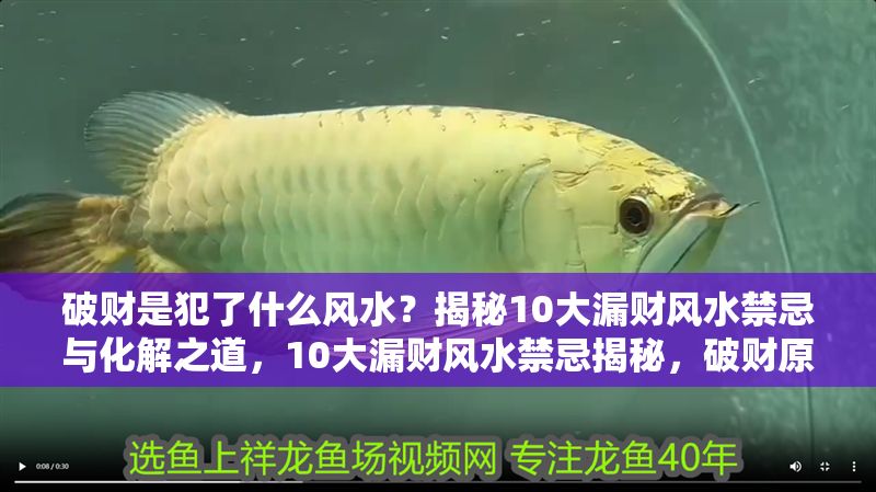 破財是犯了什么風水?揭秘10大漏財風水禁忌與化解之道,10大漏財風水禁忌揭秘,破財原因與化解方法全解析 龍魚百科 第1張 破財是犯了什么風水?揭秘10大漏財風水禁忌與化解之道,10大漏財風水禁忌揭秘,破財原因與化解方法全解析 破財是犯了什么風水?揭秘10大漏財風水禁忌與化解之道,10大漏財風水禁忌揭秘,破財原因與化解方法全解析 龍魚百科 第1張